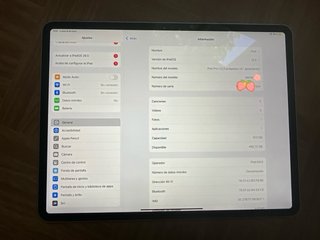 iPad Pro 12.9 Wifi + Cellular