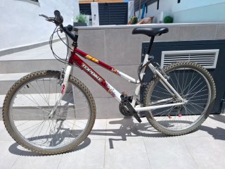 Bicicleta de montaña TOPBIKE