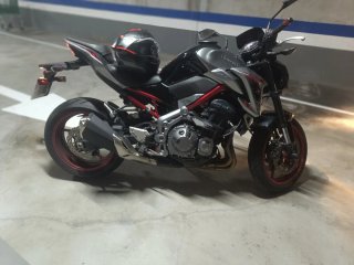 Kawasaki Z900 Full 2019