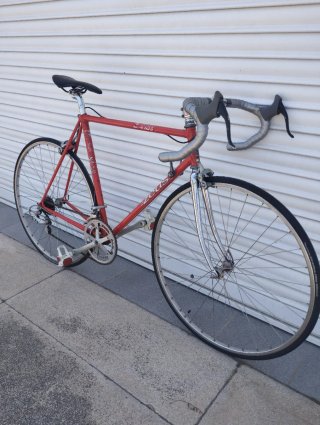 Bici Zeus 4105. TALLA 54. ALTURA 1.65-1.78cm.
