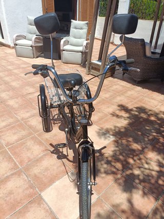 Bicicleta a 3 ruote per adulti 20