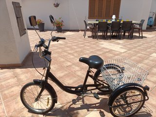 Bicicleta a 3 ruote per adulti 20