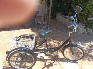 Bicicleta a 3 ruote per adulti 20