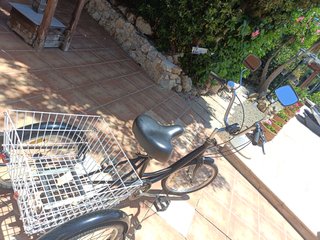 Bicicleta a 3 ruote per adulti 20