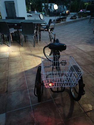 Bicicleta a 3 ruote per adulti 20