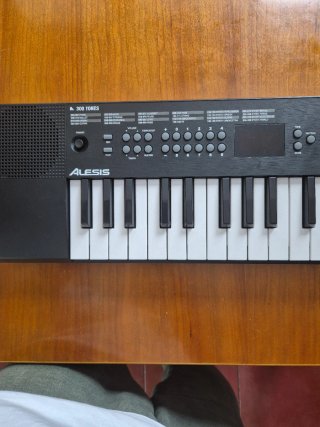 Teclado Electrónico Alesis Melody 32