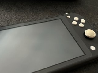 Nintendo Switch Lite Grigio + Custodia
