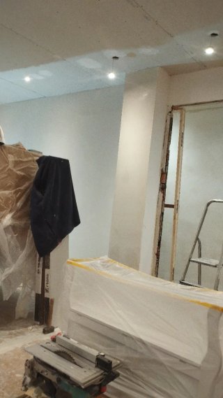 Reparación inmobiliaria, albañil, pintura,pladur