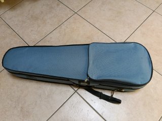 Violino Domus musica 4/4 con custodia e accessori