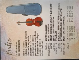 Violino Domus musica 4/4 con custodia e accessori