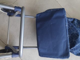 Carro de la compra pequeño y plegable