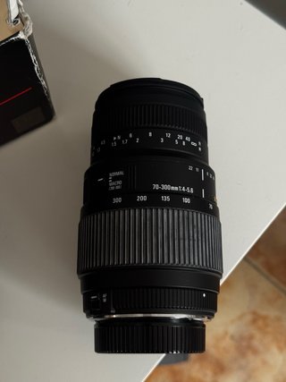 Nikon D3500 + Sigma 70-300mm