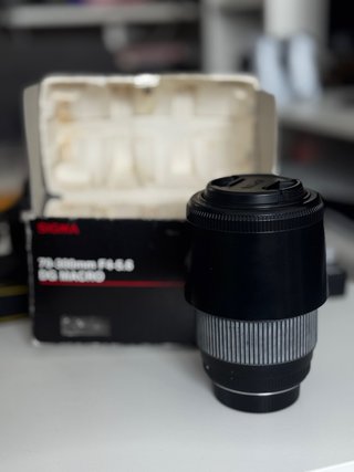 Nikon D3500 + Sigma 70-300mm