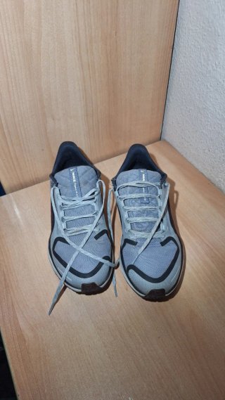 Nike Pegasus 41 Gore-Tex Gris/Rojo