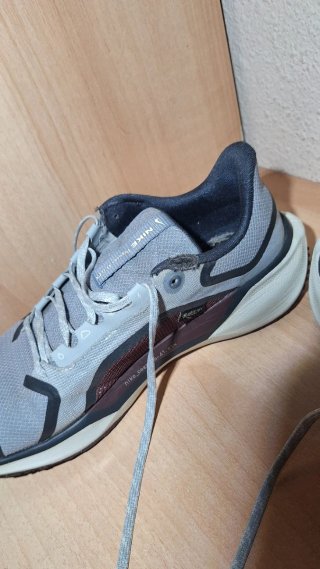 Nike Pegasus 41 Gore-Tex Gris/Rojo