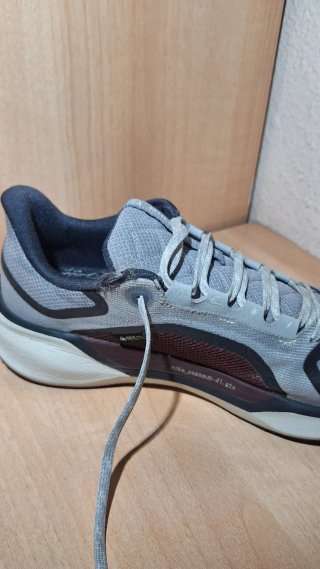 Nike Pegasus 41 Gore-Tex Gris/Rojo