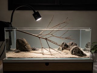 Acuario Shallow 17L Completo | Aquascaping