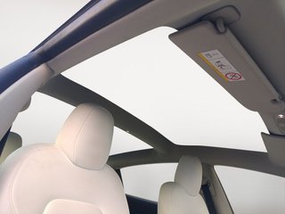 Tesla Model 3 Performance AWD 338 kW (460 CV)