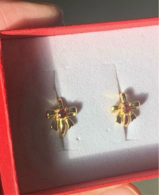 Pendientes Plata con Granate