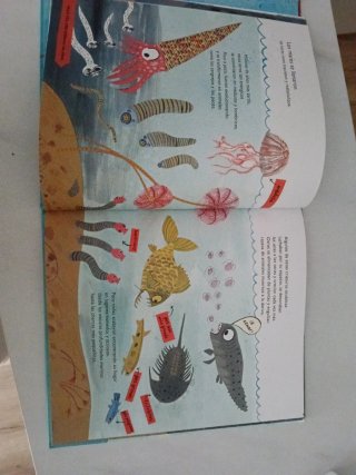 Desde entonces hasta ahora mi primer libro sobr...