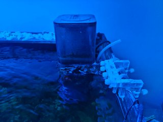 Acuario Marino Completo