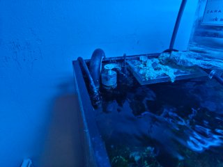 Acuario Marino Completo