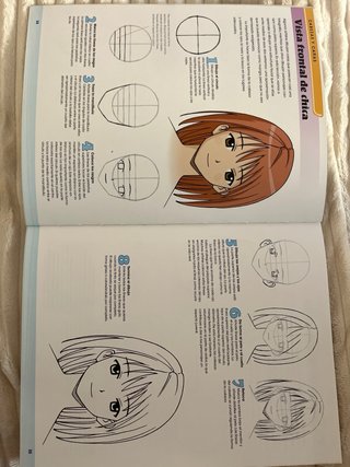 Dominar el manga : 30 lecciones de dibujo del c...