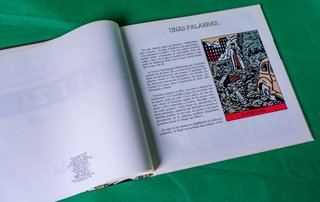 Cómic “Blitz” de Floc ́h