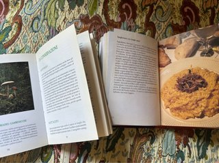 Due libri di cucina sui funghi