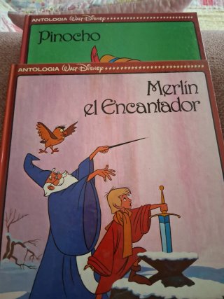 Libros Infantiles Disney: Peter Pan y Taron