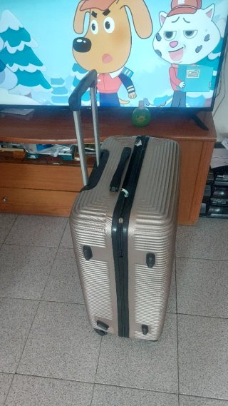 Maleta rígida dorada/plateada 66x46x29