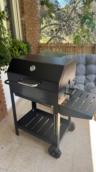 Barbacoa Carbón IMOR Laguna Negra