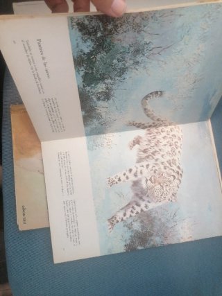 Libros Animales de América y Asia Oceanía. Ishida