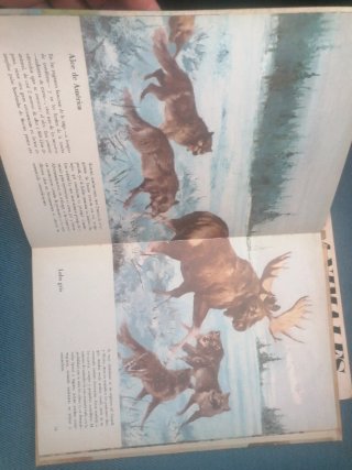 Libros Animales de América y Asia Oceanía. Ishida