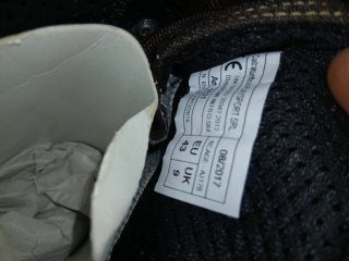 Anfibio esercito militare