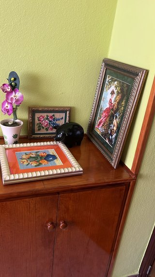 Cuadro decorativo mujer y flores