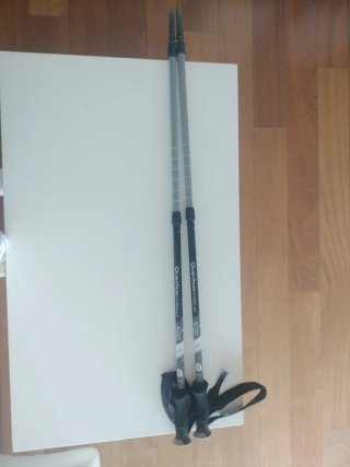 Bastones de senderismo Quechua 500