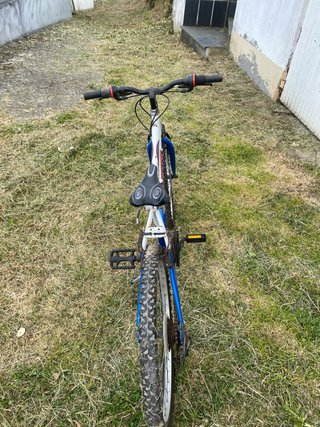 Bicicleta infantil azul