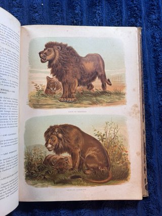 Colección original de Historia Natural (1881). 7 t