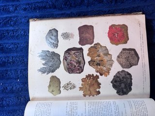 Colección original de Historia Natural (1881). 7 t