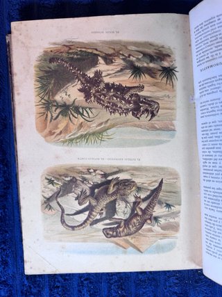 Colección original de Historia Natural (1881). 7 t