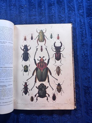 Colección original de Historia Natural (1881). 7 t