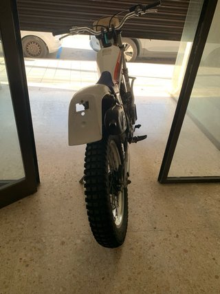Honda TLR 250 R Trial
