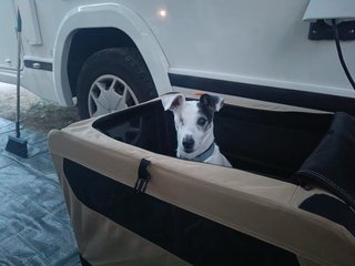 Transportín plegable perro M