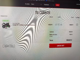 SC-Project Cola de Escape Carbono para z900