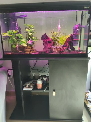 Acuario 100L Completo Negro/Transparente