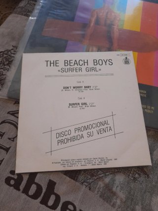 Doble Vinilo The Beach Boys Collection