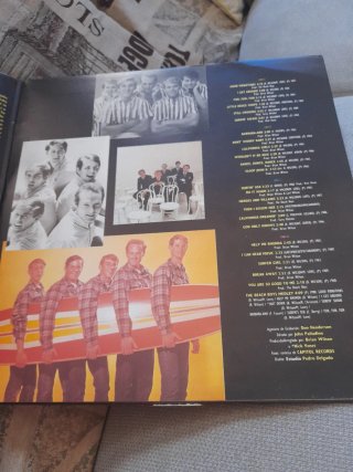Doble Vinilo The Beach Boys Collection