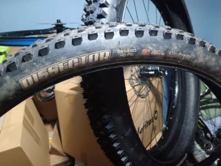 Maxxis Dissector 29x2.60 Maxxterra EXO TR