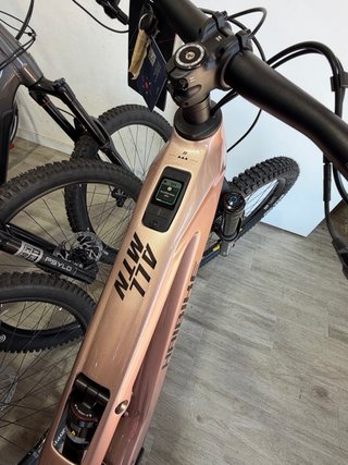 Haibike Allmtn CF 11 Motor Pinion 800Wh